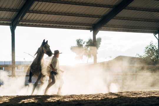 Man with horse during dressage work