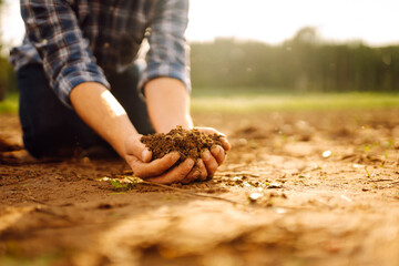 A person kneeling on a farm field analyzing soil quality  in a rural landscape. Garden field ground fertile concept.