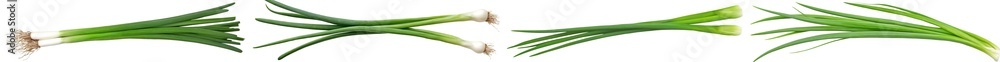 Canvas Prints A green onion is isolated on white background with a depth of field of 0.5, clipped to the edge