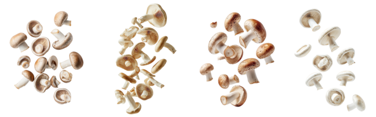 Falling mushroom, boletus edulis, porcini, king bolete, clipped path, full depth of field