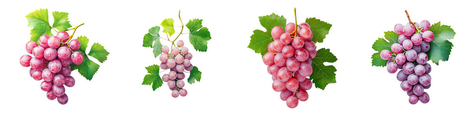 Fototapeta premium RED GRAPE, isolated on WHITE, clipping path, full depth of field