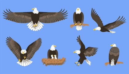 Vector illustrations on a blue background: a flying eagle, an eagle on a branch, a nest with chicks
