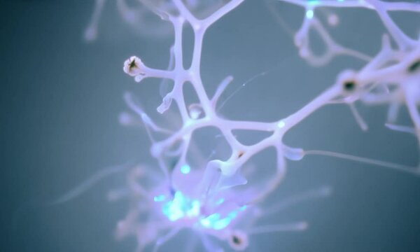 Exploring Neuron Cell Activation