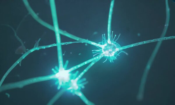 How Neuron Cells Get Activated