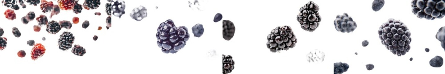 Isolated black currant on white background, selective focus