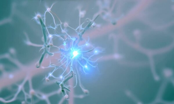 Neuron Cells: Activation and Function