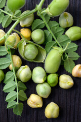 Fresh green Chickpea (Cicer arietinum) with leaves on a wooden table close up. Food photography