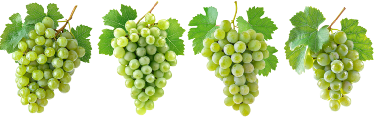 A green grape stands out against a white background, fully focused