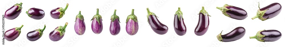 Poster full depth of field of eggplant isolated on white background
