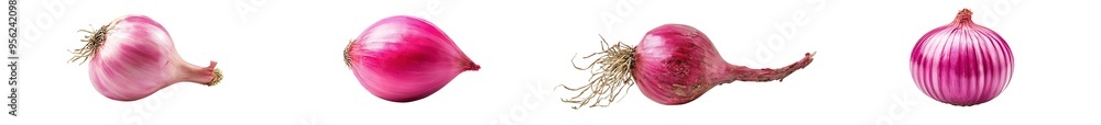 Poster a white background with an onion, shallot, in focus with great depth of field