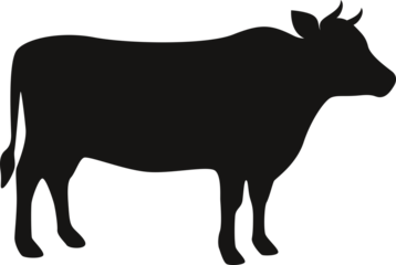 cow silhouette 