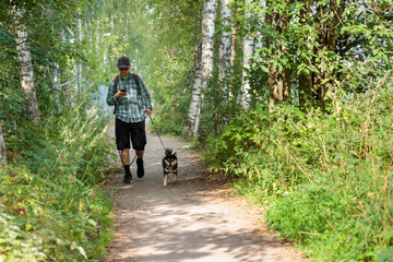 Gadget-addicted man walks in the park with his Shiba Inu dog, looking at his smartphone, internet social media dependence addiction