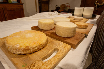 Dairy with goat cheeses artisanal processing in the Modena mountains