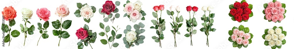 Leinwandbilder an isolated rose on a white background includes a clipping path, full depth of field, and a clipping