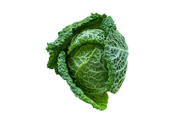 A vibrant, fresh head of green cabbage, showcasing its crisp leaves and natural texture, perfect for healthy meals and rich in vitamins