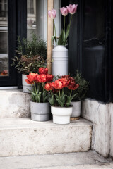 Flowerpots Full Of Flowers On A Doorstep In Budapest, Hungary