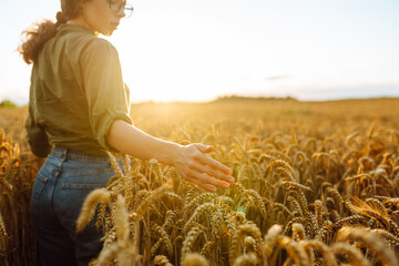A woman farmer examines golden wheat crops in a sunlit field during the harvest season, appreciating the beauty of nature. Harvesting. Agribusiness. Gardening concept.