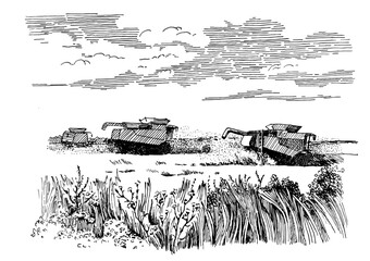 Autumn landscape. Collecting hay in the field. Linear hand sketch converted to vector drawing © Valentyna Serhii