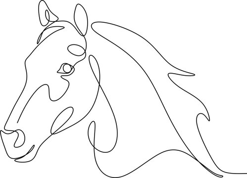 Horse head Continuous one line drawing art. Horse for logo, tattoo, banner, poster and flyer. 