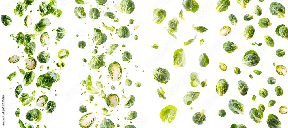 Poster isolated savoy cabbage falling onto a white background; depth of field: full