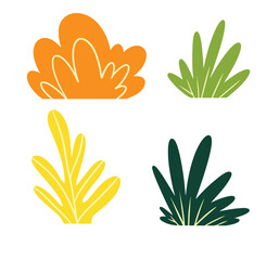 plant green grass bush flower gardern nature illustration