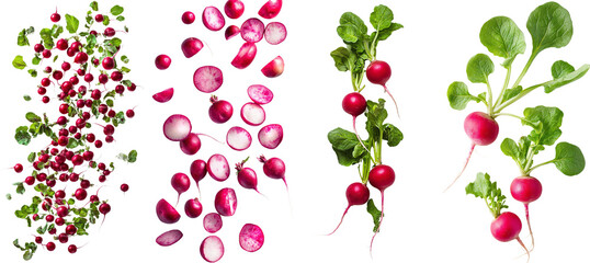 Intense depth of field with an isolated falling radishes on a white background