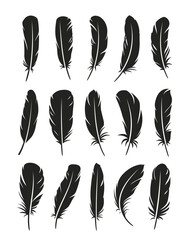 Bird feather icons set. Simple black and white symbols with different feathers from bird wings. Flat vector illustration collection isolated on white background © Rudzhan