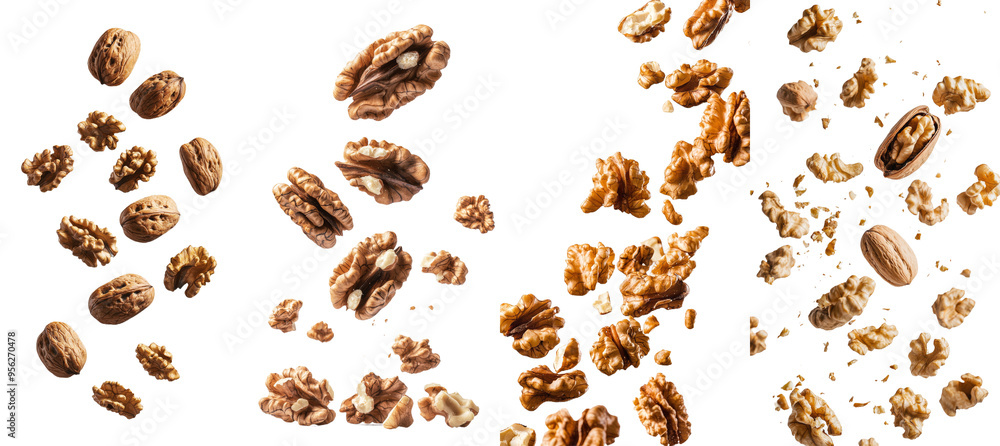 Poster walnut nut falling on white background with full depth of field