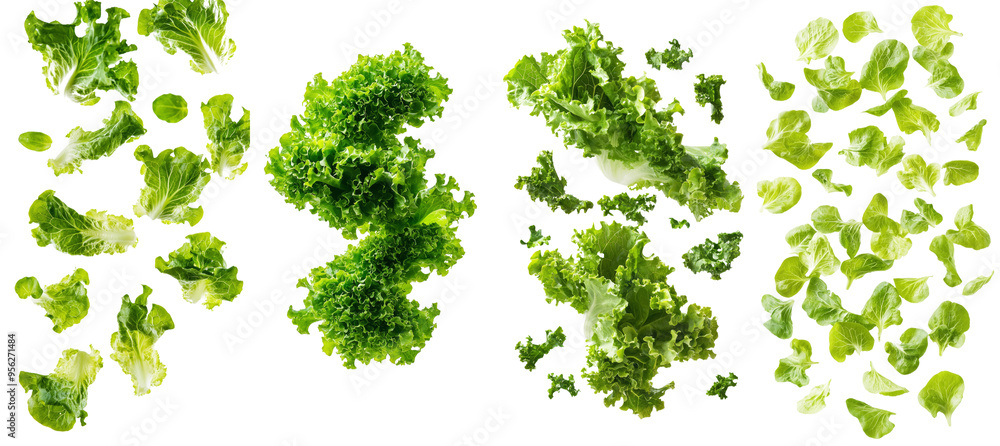 Poster leaves of lettuce falling on a white background with full depth of field, isolated on white