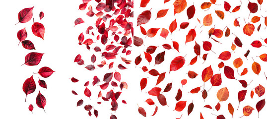 Isolated white background, full depth of field, falling peanut