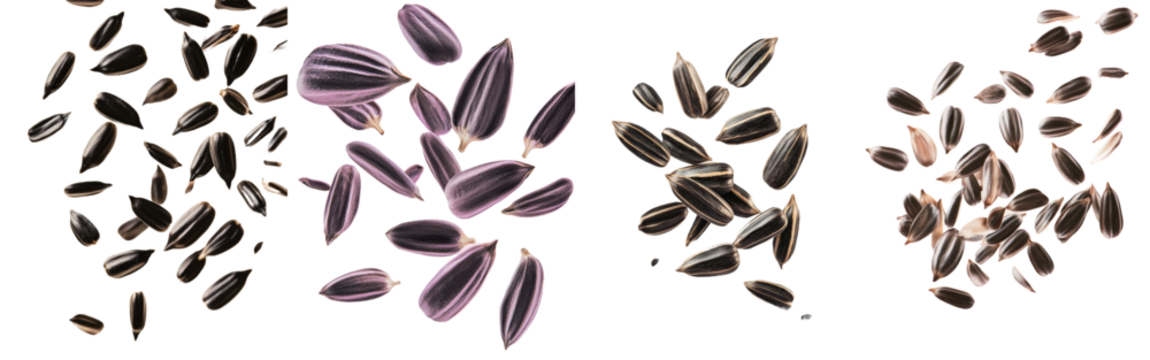 An isolated sunflower seed falls on a white background, with full depth of field