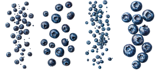 Isolated on white background, a falling blueberry falls from the sky