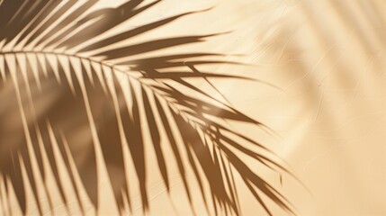 Obraz premium Palm Leaf Shadow Pattern on Beige Wall with Play of Light and Texture.