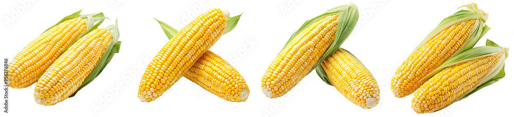 Wall mural Detailed image of a corn ear isolated on a white background