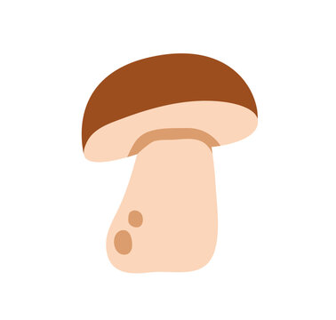 recommend clip art: Mushroom porcini. Fungus icon, autumn forest food. Boletus fungi, natural organic food. Edible fresh healthy fall plant. Flat graphic vector illustration isolated on white background