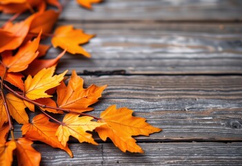 autumn leaves on wooden background