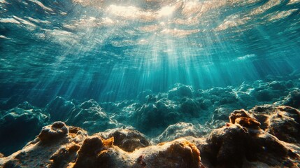Mineral Rich Seawater