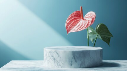 Marble podium and cosmetic display featuring an anthurium flower against a blue backdrop 3D rendering
