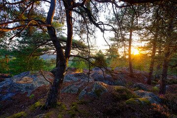 Fototapety na wymiar - Fototapeta24.pl