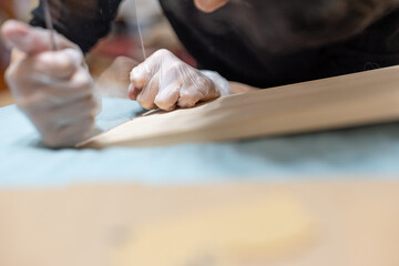 Yellow and white Garfield in the apartment, cozy and comfortable, city apartment, modern life, keeping pets, pet life, companionship of pets, comfort animals, supplies for pet industry, owner and cat