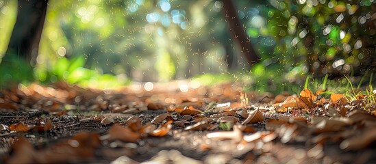 Fototapeta premium Blurry outdoor abstract photography with a defocused view of green nature on the ground showcasing brown dry leaves grass and a bokeh effect perfect for a wallpaper background or design with copy spa