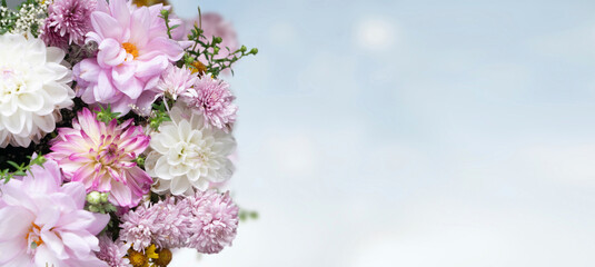 natural autumn dahlia flowers in pink and purple shades copy space on defocused background