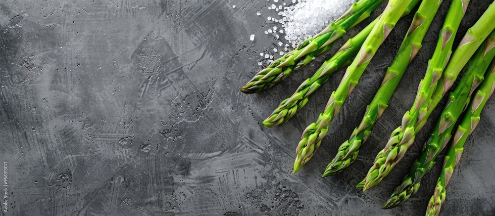 Poster top view of fresh green asparagus next to sea salt on a textured grey table with ample space for tex