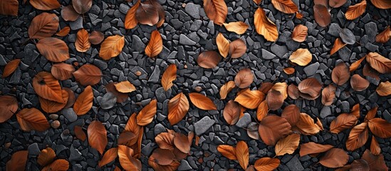 Gravel mingled with dry leaves creating a textured surface suitable for a copy space image