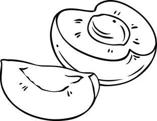 Apricot Fruit Outline Illustration.