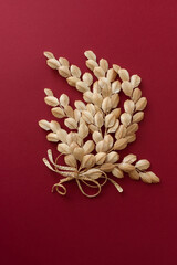 Branch with leaves is made of straw. Decoration of straw on a red background. Straw weaving. 