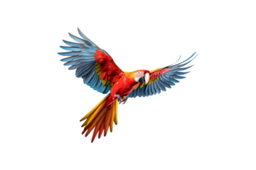 The image features a red scarlet macaw bird, its wings spread out. Suitable for website backgrounds or marketing materials for nature, wildlife, tropical themes, and bird enthusiasts