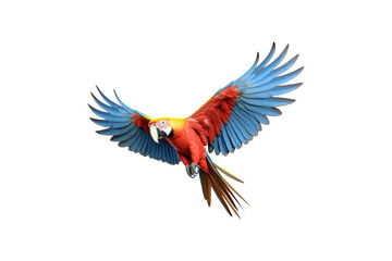 Fototapeta premium The image features a red scarlet macaw bird, its wings spread out. Suitable for website backgrounds or marketing materials for nature, wildlife, tropical themes, and bird enthusiasts