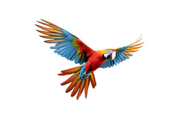 Obraz premium The image features a red scarlet macaw bird, its wings spread out. Suitable for website backgrounds or marketing materials for nature, wildlife, tropical themes, and bird enthusiasts