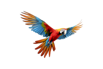 The image features a red scarlet macaw bird, its wings spread out. Suitable for website backgrounds or marketing materials for nature, wildlife, tropical themes, and bird enthusiasts
